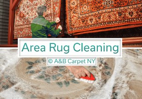 Area and Oriental Rug Cleaning - Brooklyn