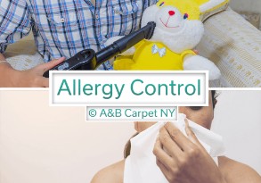 Allergy Control - Mill Island 11234