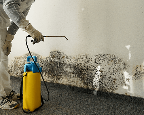 Mold and Mildew Cleaning Brooklyn